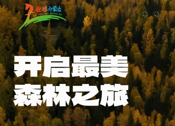歌游内蒙古 | 开启最美森林之旅