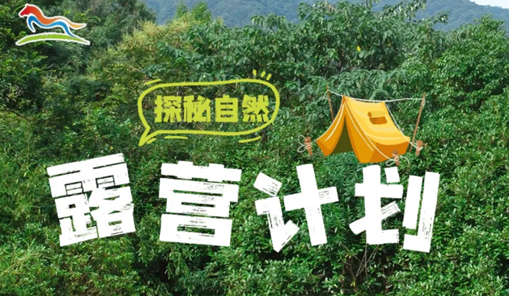去有风的地方，开启躺“营”计划！